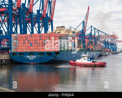 Conteneurs 'Hyundai Hyundai de braves" accosté au terminal à conteneurs Altenwerder CTA dans le port de Hambourg, Allemagne. Banque D'Images