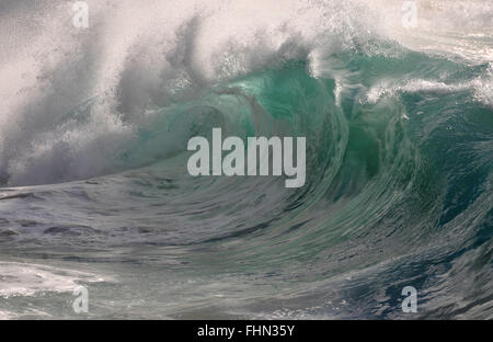 Vagues géantes que Waimea Bay Beach, North Shore, Oahu, Hawaii, USA Banque D'Images