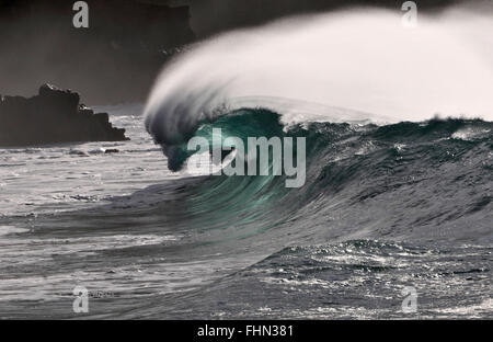 Vagues géantes que Waimea Bay Beach, North Shore, Oahu, Hawaii, USA Banque D'Images