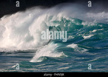 Vagues géantes que Waimea Bay Beach, North Shore, Oahu, Hawaii, USA Banque D'Images