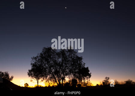 Coucher de soleil sur la West MacDonnell Ranges, Territoire du Nord, Australie Banque D'Images