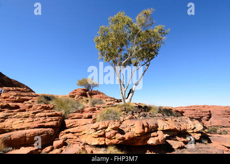 King's Canyon, Territoire du Nord, Australie Banque D'Images