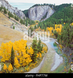 Les falaises et les couleurs d'automne le long de la vallée de la rivière de Dearborn au-dessous de la rocky mountain/près de augusta, Montana Banque D'Images