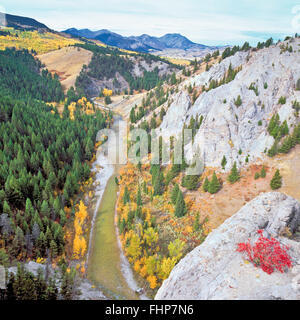 Les falaises et les couleurs d'automne le long de la vallée de la rivière de Dearborn au-dessous de la rocky mountain/près de augusta, Montana Banque D'Images