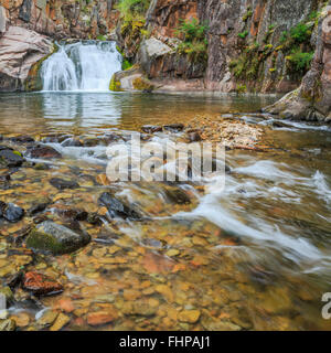 Cascade sur le ruisseau Tenderfoot dans le petit belt montagnes près de White Sulphur Springs, Montana Banque D'Images