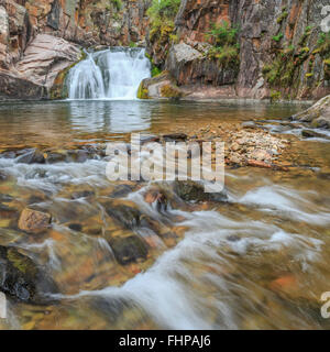 Cascade sur le ruisseau Tenderfoot dans le petit belt montagnes près de White Sulphur Springs, Montana Banque D'Images