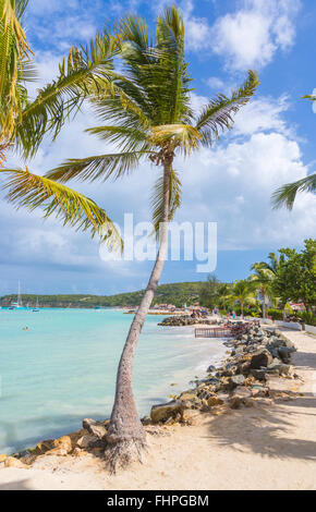 Palmiers sur la berge à Dickenson Bay Beach au nord Antigua avec ciel bleu et mer turquoise sur une journée ensoleillée Banque D'Images