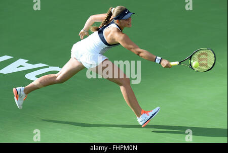 Doha, Qatar. Feb 25, 2016. Jelena Ostapenko de Lettonie est en concurrence au cours de l'féminin contre Zheng Saisai match quart de la Chine à la WTA Open du Qatar 2016 à Doha, Qatar, le 25 février 2016. Jelena Ostapenko a gagné 2-0. © Nikku/Xinhua/Alamy Live News Banque D'Images