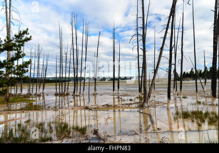 Les arbres morts en milieu de printemps chaudes volcaniques sous ciel nuageux ciel bleu. Arbres se reflétant dans l'eau de premier plan. Banque D'Images