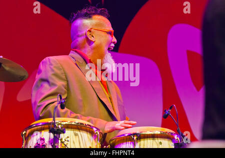 Joueur de Conga pour monde Jacos produiront au 58e Festival de Jazz de Monterey, Californie Banque D'Images