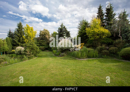 Beau jardin de printemps, avec des conifères, de l'herbe bien verte et bien eneving Banque D'Images