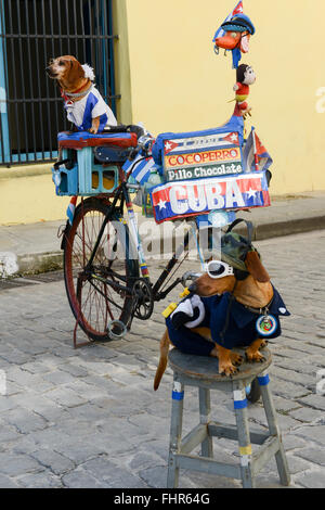 Deux chiens sur la rue de la vieille Havane à Cuba Banque D'Images