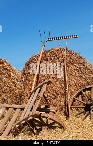 Contexte de l'agriculture. Banque D'Images