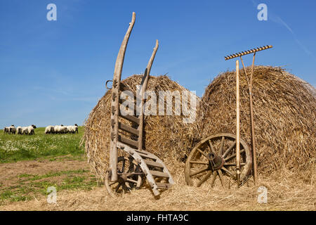 Contexte de l'agriculture. Banque D'Images