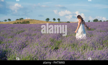 Belle jeune femme vêtue d'une robe blanche de marcher au milieu d'un champ de lavande en fleur. Banque D'Images