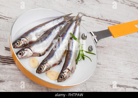 La sardine fraîche poisson sur pan. Banque D'Images