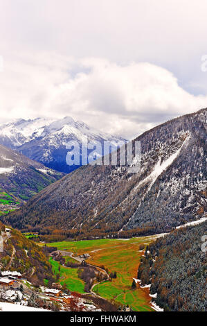 Saint Bernard Banque D'Images