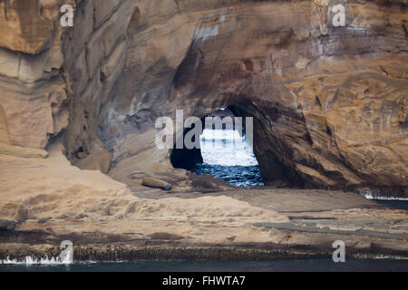 La roche volcanique percé par la force de l'eau sur l'île de Trinité dans l'Océan Atlantique Banque D'Images