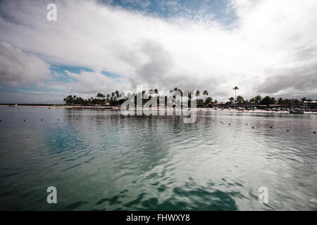 Piscine naturelle dans la plage de Porto de Galinhas Banque D'Images