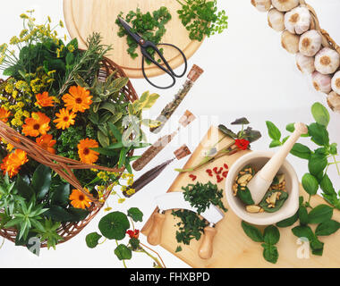 Fines herbes et fleurs dans un panier en osier, les herbes hachées sur une planche à découper, tubes à essai remplis de graines, mortier contenant des pignons de pin et basilic, les herbes et le poivre et une tresse d'ail Banque D'Images