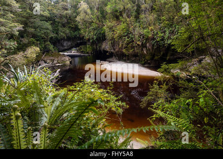 Moria Gate Arch, Oparara River, près de Karamea, Westcoast, Nouvelle-Zélande Banque D'Images