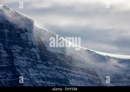 Souffle sur la neige durant tempête corniches sur le mont Kitchener, Jasper National Park, Alberta, Canada Banque D'Images