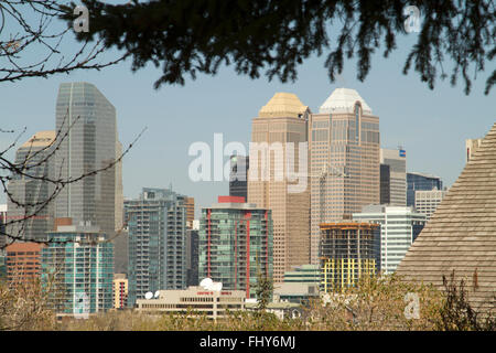 Le centre-ville de lits jumeaux Salle du banquier des gratte-ciel de Calgary, Alberta, Canada, vu à travers les arbres d'un parc à proximité. Banque D'Images