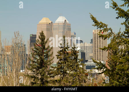 Le centre-ville de lits jumeaux Salle du banquier des gratte-ciel de Calgary, Alberta, Canada, vu à travers les arbres d'un parc à proximité. Banque D'Images