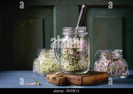 Régime alimentaire sain. L'ail frais et pousses de radis dans des pots Mason de verre avec une fourchette à l'intérieur de l'article sur la petite planche à découper sur w bleu Banque D'Images