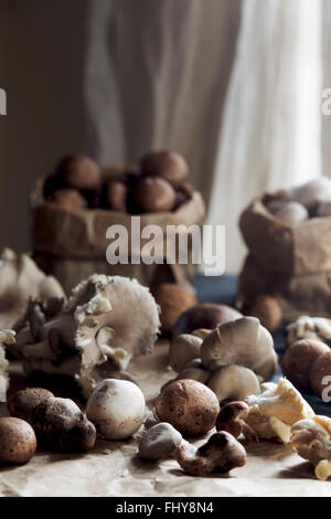 Champignons crus Banque D'Images