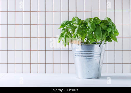 La direction générale de basilic frais en pot métal sur table de cuisine avec un sol carrelé blanc mur à l'arrière-plan. Banque D'Images