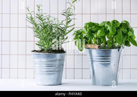 Des herbes fraîches de basilic et de romarin en pots en métal sur une table de cuisine avec un sol carrelé blanc mur à l'arrière-plan. Banque D'Images