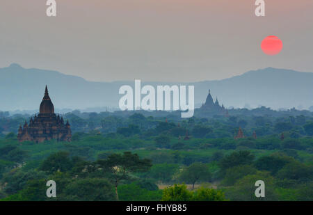 Temples et pagodes au coucher du soleil sur la plaine centrale de Bagan, Myanmar (Birmanie) Banque D'Images