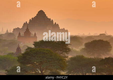 Pagaoda Dhammayangyi et temples et pagodes au coucher du soleil sur la plaine centrale de Bagan, Myanmar (Birmanie) Banque D'Images