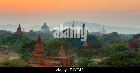 Temples et pagodes au coucher du soleil sur la plaine centrale de Bagan, Myanmar (Birmanie) Banque D'Images