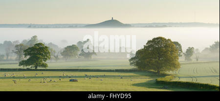 Un matin de printemps brumeux donnant sur Tor de Glastonbury, dans le Somerset. Banque D'Images