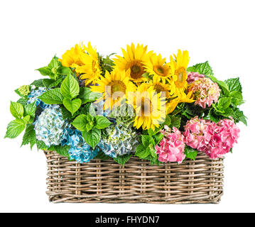 Tournesols et hortensia fleurs. Les fleurs fraîches dans panier isolé sur fond blanc Banque D'Images