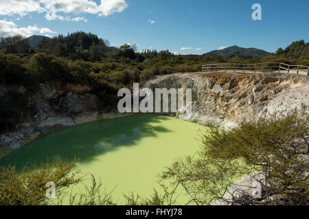 Dans la baignoire du diable à Wai-O-Tapu eau chaude avec différents composés fait selon le temps d'un livre vert et jaune de l'eau. Banque D'Images