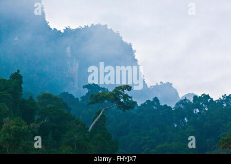 FORMATIONS KARSTIQUES créer un paysage magnifique autour du lac CHEOW FR dans Parc national de Khao Sok - Thaïlande Banque D'Images