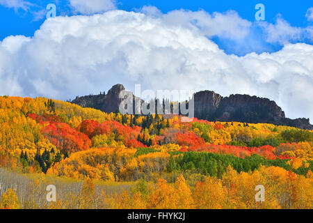 Couleurs d'automne à Kebler Pass à l'ouest de Crested Butte, Colorado Banque D'Images