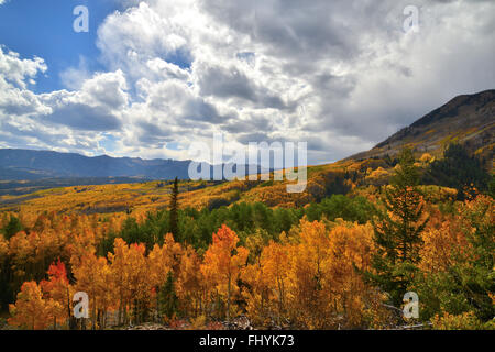 Couleurs d'automne le long de la route forestière 730 à l'Ohio passent près de Crested Butte, Colorado Banque D'Images