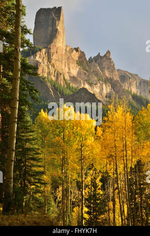 La couleur de l'automne vues le long de la route forestière de 858 Col Owl Creek à environ 20 milles à l'ouest de Ridgway, Colorado, et dans les grandes Cimarron Banque D'Images