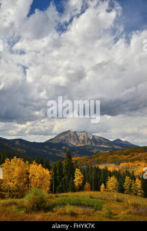 Couleurs d'automne à Kebler Pass à l'ouest de Crested Butte, Colorado Banque D'Images