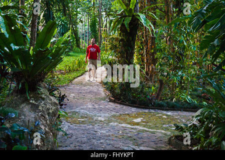 Vous pourrez profiter de la jungle du RIVERSIDE COTTAGES à KHO SOK, un lieu de séjour idéal pour visiter Kho Sok National Park - T Banque D'Images