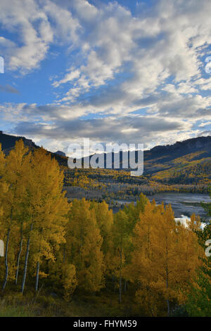 La couleur de l'automne le long de grandes scènes Cimarron Road jusqu'à l'argent et du réservoir d'Jack Col Owl Creek, à 20 miles au sud de l'autoroute 50 en Californie Banque D'Images