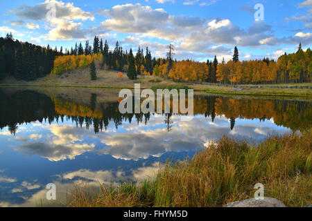 La couleur de l'automne le long de grandes scènes Cimarron Road jusqu'à l'argent et du réservoir d'Jack Col Owl Creek, à 20 miles au sud de l'autoroute 50 en Californie Banque D'Images