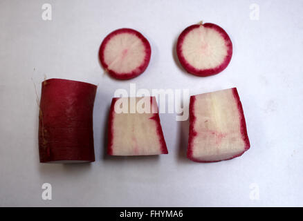 Raphanus sativus Radis long, rouge, tranché pour montrer une chair blanche, couramment utilisé dans les salades, les productions maraîchères Banque D'Images