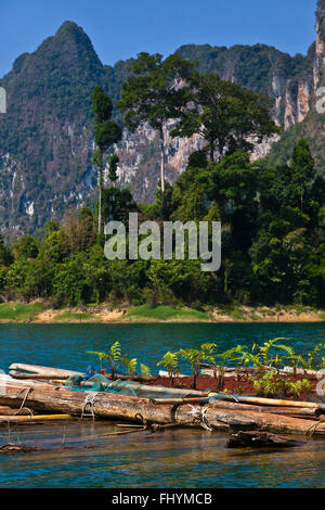 Les jardins flottants de CHIEW LAN MAISON sur RADEAU DANS LE LAC CHEOW EN PARC NATIONAL de Khao Sok - Thaïlande Banque D'Images