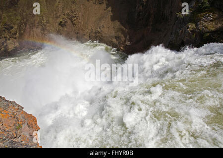 La partie supérieure forme un arc-en-ciel YELLOWSTONE FALLS pendant le ruissellement printanier - Parc national de Yellowstone, Wyoming Banque D'Images