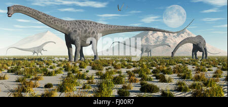 Un troupeau de Diplodocus dinosaures sauropodes. Banque D'Images